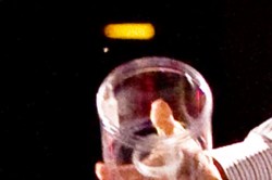 How I caught the mosquito