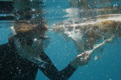 Richard Rockefeller reports from the Sargasso Sea, a Mission Blue hope spot