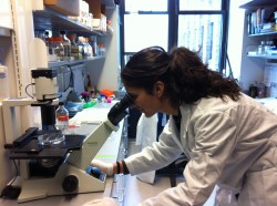 Fellows Friday with Nina Tandon