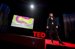 Bears, bats and brilliance: Karen Bass at TED2012