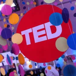 Lo-fi photos from TED2012