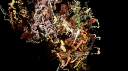 Globality: Watch the session title animation for TEDGlobal 2012 Session 4