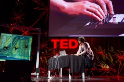 Video birds playing the piano: Kathy Hinde at TEDGlobal 2012