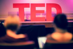 From vultures to intelligent tea kettles: Highlights from the event TED@Nairobi