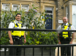 11 talks on the transformative power of vegetables