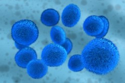 10 talks on the future of stem cell medicine