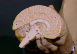 You answer: What were you like as a teenager?