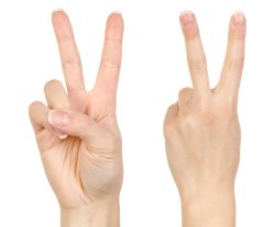 Playlist: 8 great talks that will leave you seeing double