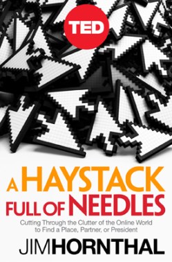 New TED Book: A Haystack Full of Needles
