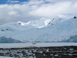 A TEDx with an icy view: TEDx takes Antarctica