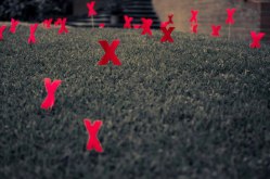 A TEDx playlist: 6 talks that became phenomena