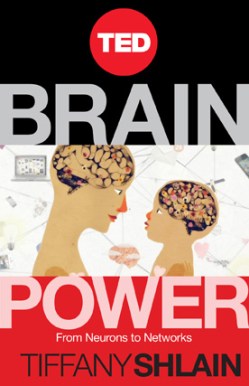 New TED Book: Brain Power