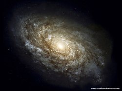 TED-Ed answers the question: what is dark matter and what does it have to do with stars?