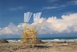 A short documentary on Theo Jansen and his animal creations