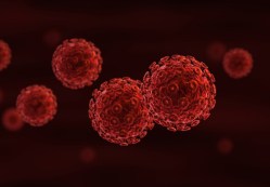 In Short: HIV’s potential to treat cancer, plus 20 powerful moments in human rights video