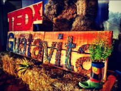 A TEDx dedicated to ideas for rural communities