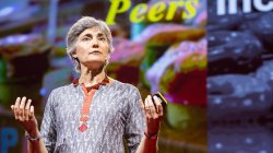 11 fascinating “peers incorporated” businesses