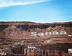 TEDxSanaa uses nature as a billboard