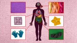 Seeds for healthy cells, candy for cancer: The stop motion tricks behind this TED-Ed lesson