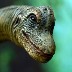 New playlists: Dinos! and War stories