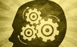 7 talks on mapping the human brain