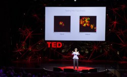 10 talks to help you better understand cancer