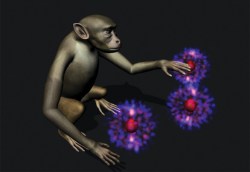 7 talks on monkeys, and 7 talks on mind control