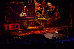 “The musician’s musician”: Pedrito Martinez at TED2013