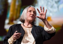 Can a city be too technological? Saskia Sassen at TED2013
