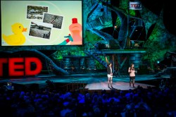A local bacteria to solve a local problem: Miranda Wang and Jeanny Yao at TED2013