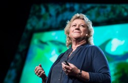 Quoted: Denise Herzing on communicating with extraterrestrials