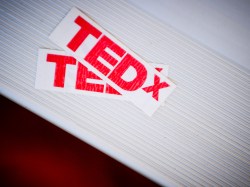The story of the first TEDx: Q&amp;A with Krisztina “Z” Holly