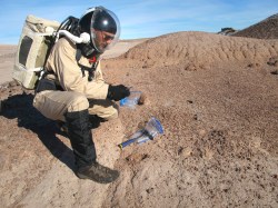 Spatzle in space: Fellows Friday with Angelo Vermeulen