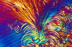 9 old drugs that learned new tricks: The head of the National Institutes of Health shares medicines that turned out to have multiple uses