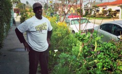 A visit to Ron Finley’s LA garden — plus 5 more TED Talks about growing your own food