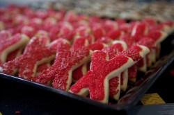 X marks the spot: This week’s TEDx Talks