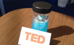 Unorthodox new pets in the TED office