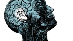 When self-identity can change: Q&amp;A with Charles Limb