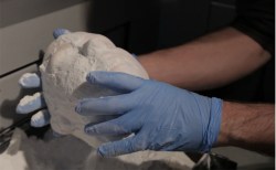 A portrait of you from a single hair: The work of Heather Dewey-Hagborg