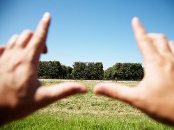 Framing the Story: TED Radio Hour takes a look at the power of narrative