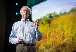 Listening to Nature: The speakers in Session 5 at TEDGlobal 2013