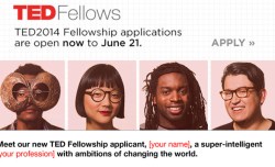 Should you apply for a TED2014 Fellowship? Let this Mad Libs guide you