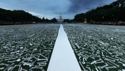One Million Bones on the National Mall, all countable in this gigapixel image