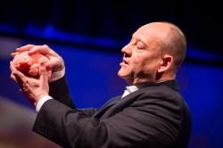 The neuroscience of sleep: Russell Foster at TEDGlobal 2013