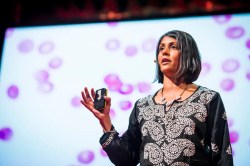 Why haven’t we gotten rid of malaria? Sonia Shah at TEDGlobal 2013