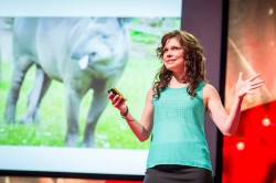Wild sex: Carin Bondar at TEDGlobal 2013