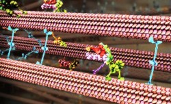 6 mind-bending talks about biologically inspired art