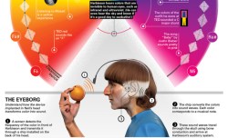 The sound of color: Neil Harbisson’s talk visualized