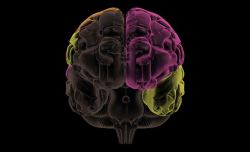 What are mirror neurons? Further reading on the neurotherapy described in today’s talk