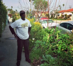 No more citations for curbside veggies in Los Angeles